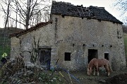 87 Cavallo ad una antica baita con teeto malconcio